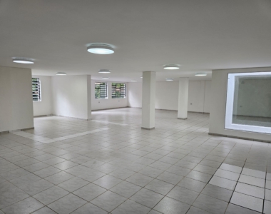 WhatsApp Image 2026-01-27 at 17.53.36 (2)