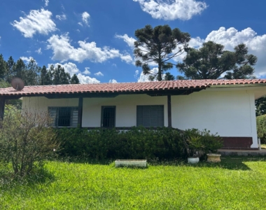 WhatsApp Image 2026-02-17 at 17.13.23 (13)