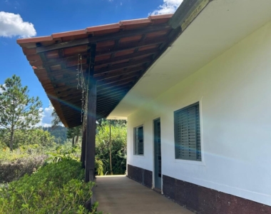 WhatsApp Image 2026-02-17 at 17.13.23 (14)