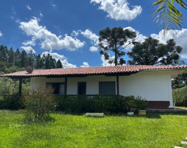 WhatsApp Image 2026-02-17 at 17.13.23 (7)